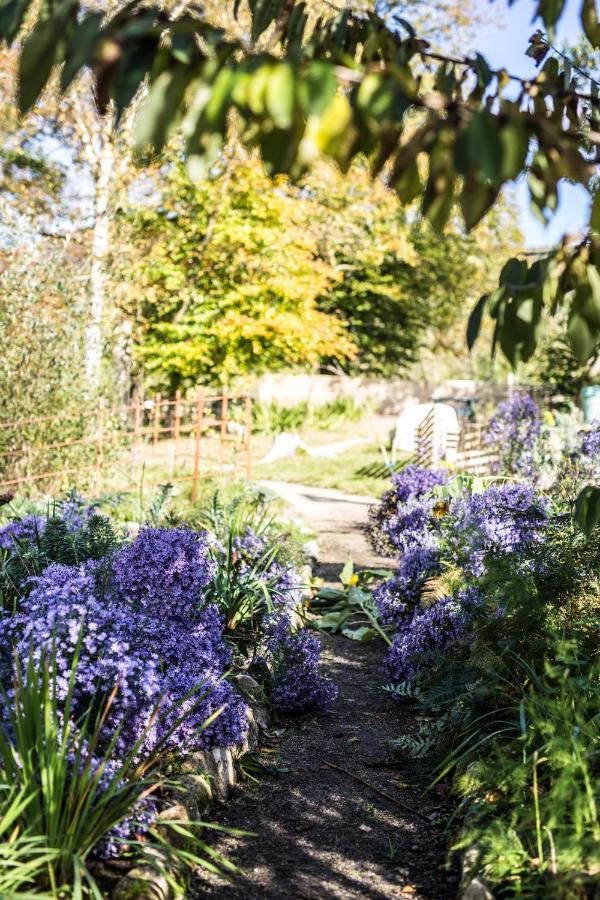 The Wicklow Escape (Adults Only) Donard Esterno foto
