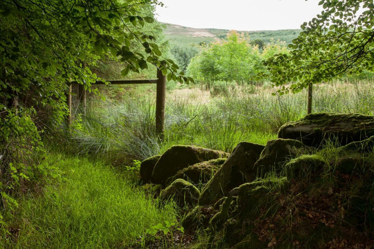 The Wicklow Escape (Adults Only) Donard Esterno foto